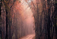 米特拉空气能：实测体验，家居节能新选择